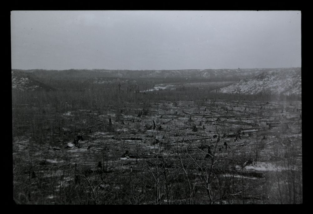 A black and white photograph after a forest fire in northern Minnesota. Blackened stumps and a charred landscape are all that remains.