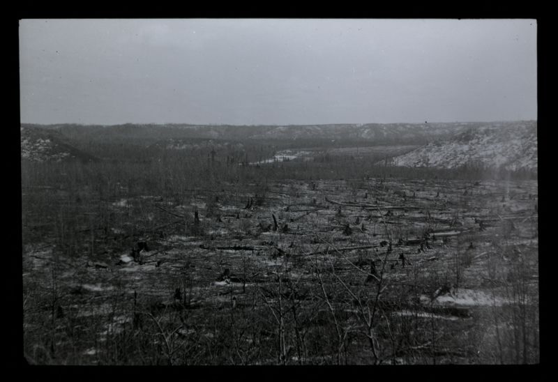 A black and white photograph after a forest fire in northern Minnesota. Blackened stumps and a charred landscape are all that remains.
