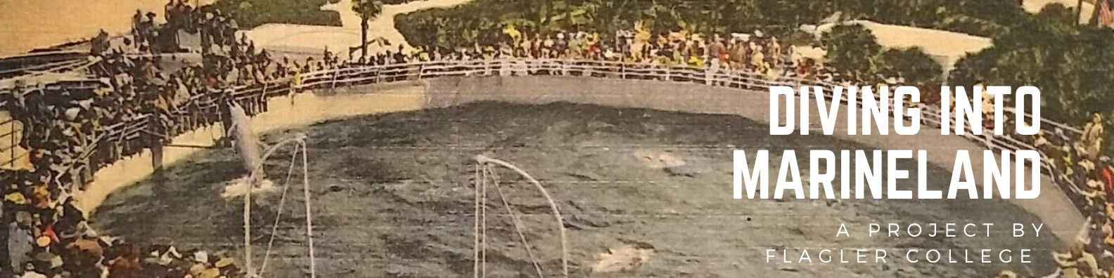 Diving into Marineland