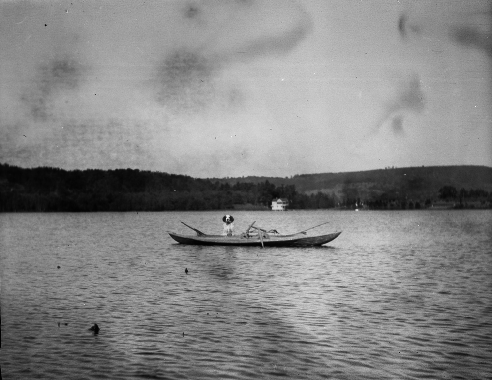 Dog in boat at Pine Lake-1.jpg