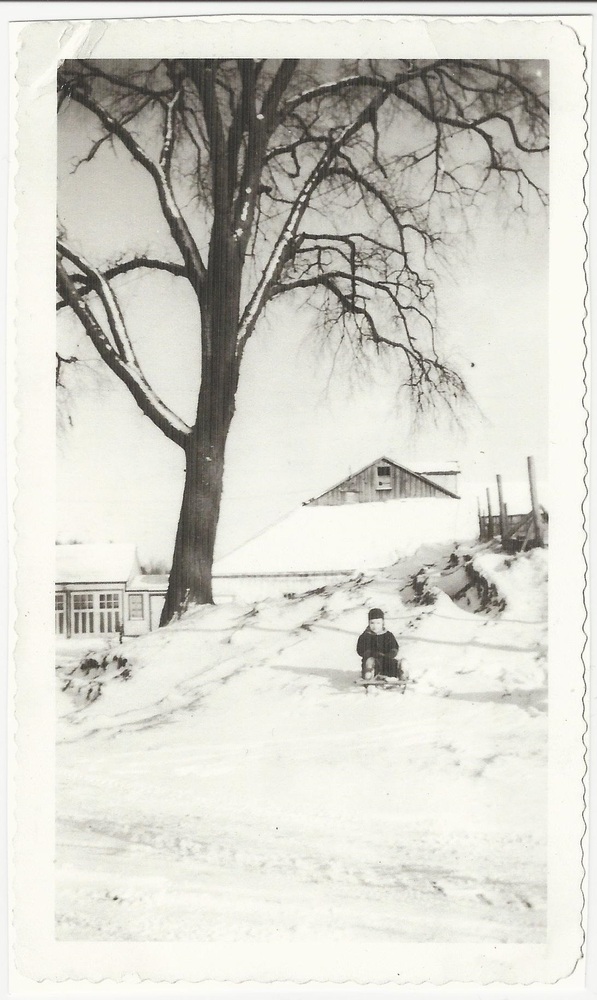 CL-Auber-Aube 20 Marcotte- child of Laura and Edmond, Carpenter Rd. Charlotte, VT.jpg