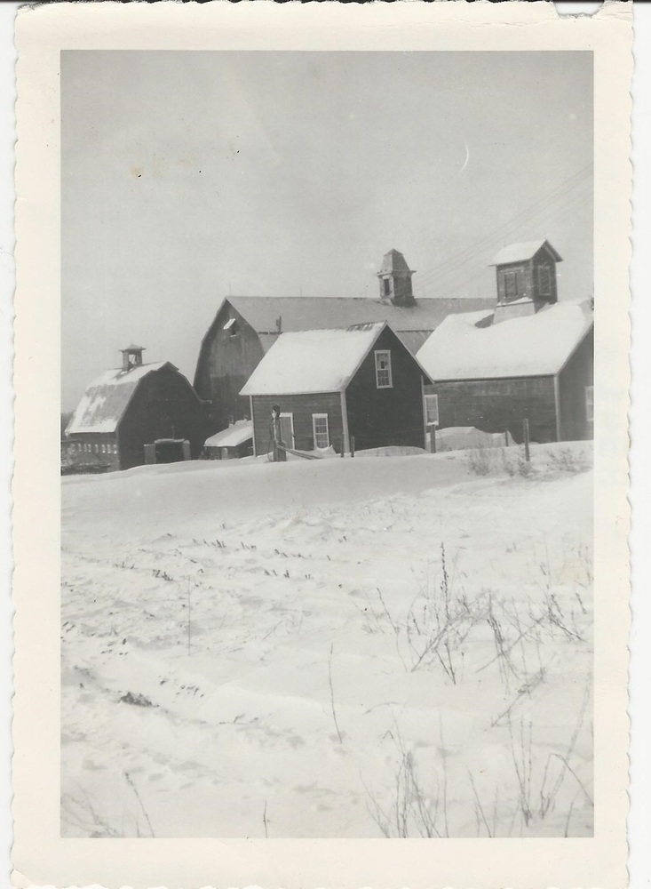 CL-Auber-Aube 07 Domina and Lea Aube Farm 1956 maybe.jpg