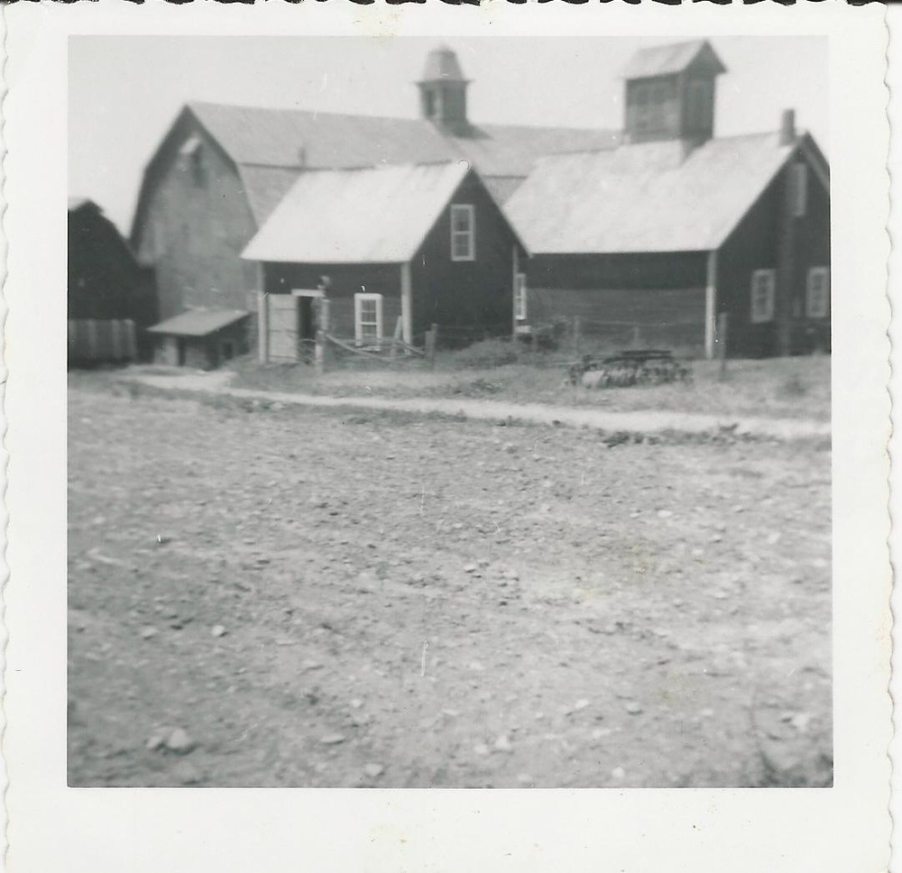 CL-Auber-Aube 06 Domina and Lea Aube Farm 1954.jpg
