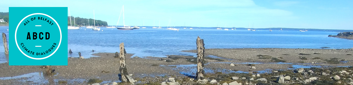 All of Belfast: Climate Dialogues project - photo of beach by the Belfast Boathouse